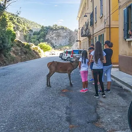 Oasi Dei Cervi Apartmán Guspini